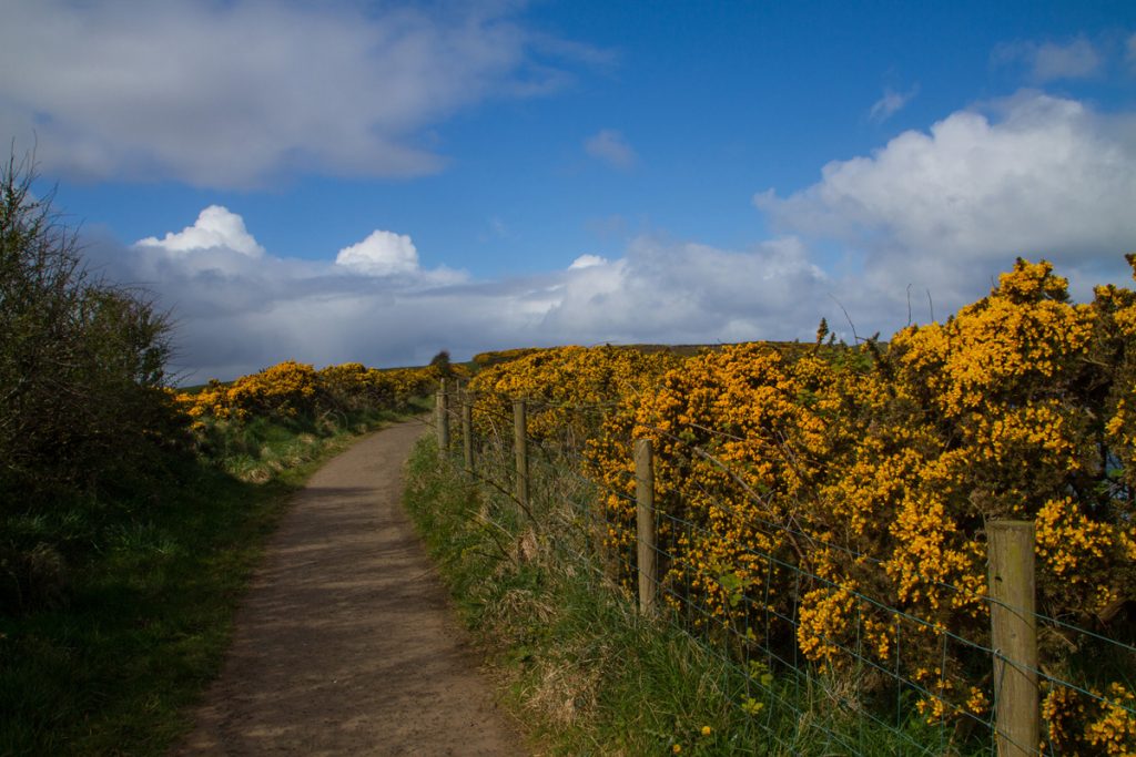 Ireland – Capturing the Seasons